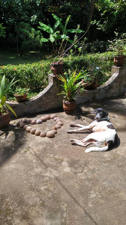 Arabian Soul Bed and Breakfast Varkala Buitenkant foto